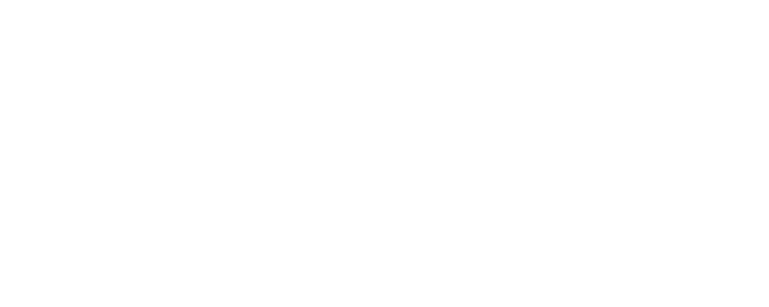 AO_LOGO_RW_WHITE